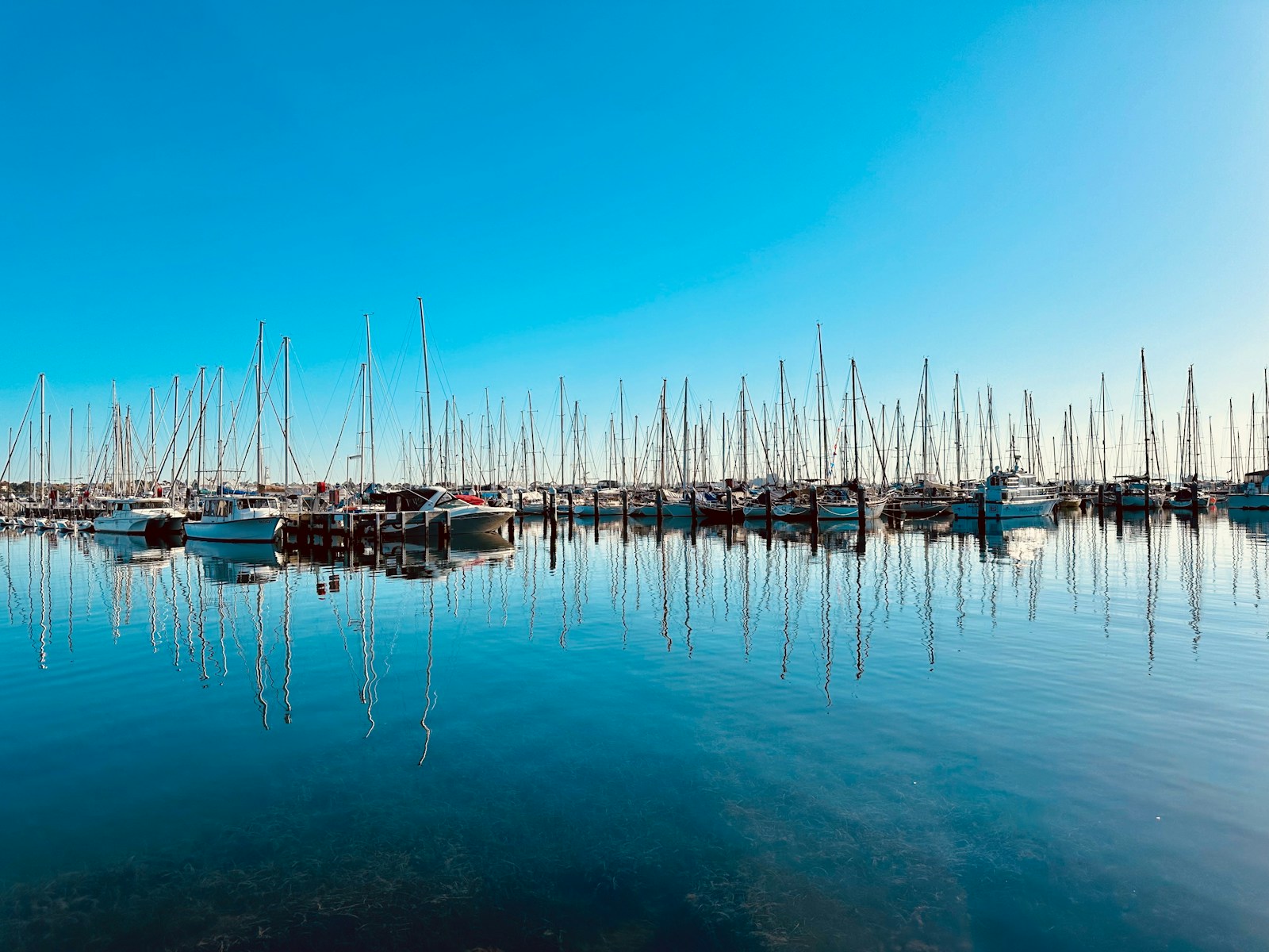 a bunch of boats that are in the water