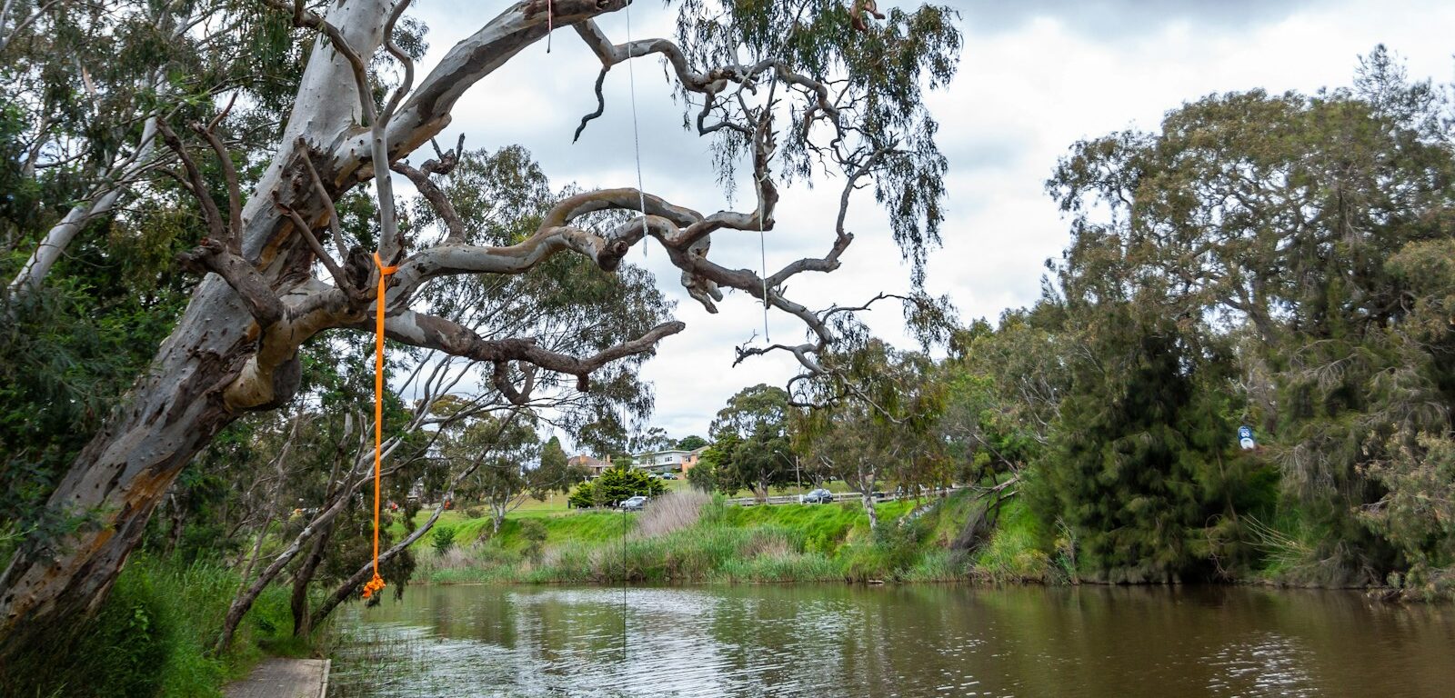 barwon river